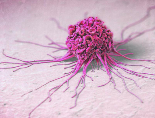 Empowering dendritic cells