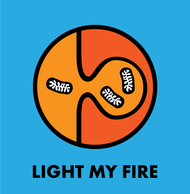 light-my-fire